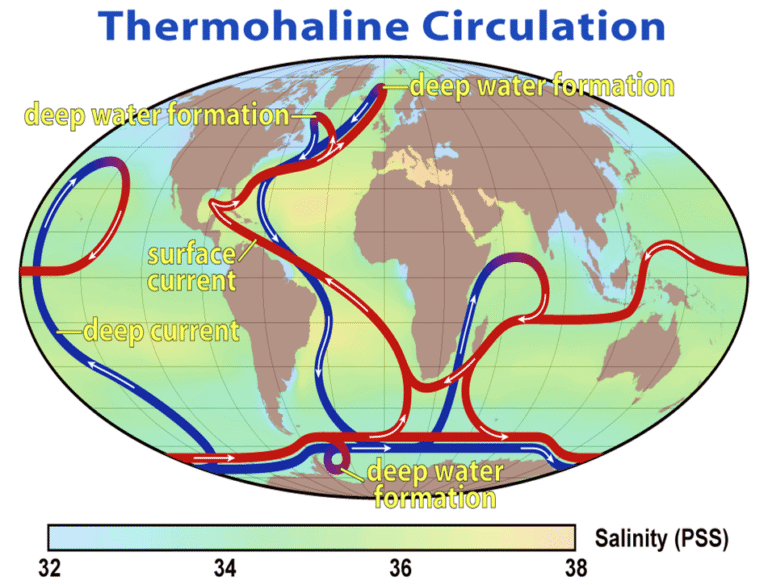 Thermohaline Circulation Water Masses And Currents