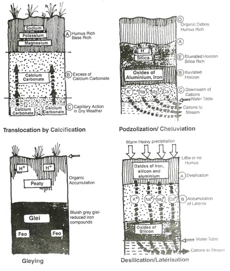 Soil Forming Processes or Pedogenic Regimes