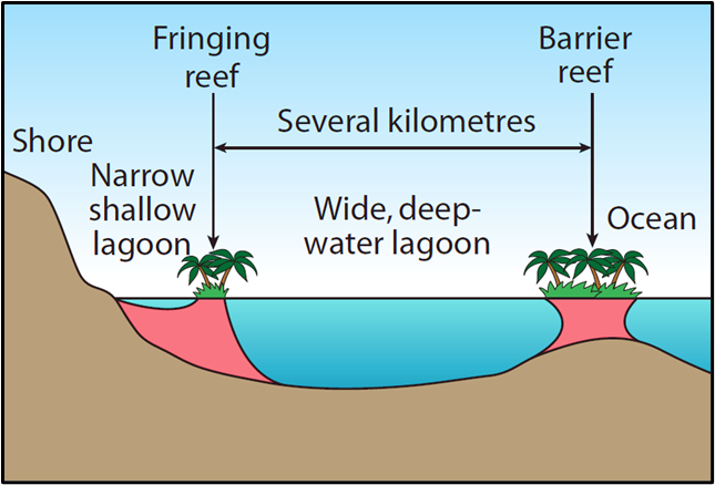 Fringing Reef and Barrier Reef