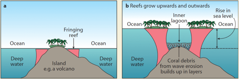 Coral Reef Relief Features UPSC – Fringing, Barrier & Atoll Types