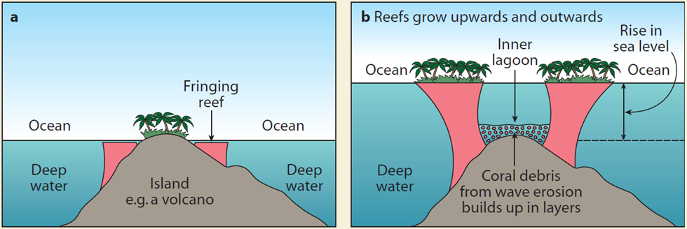 Stages of Formation of Atolls UPSC